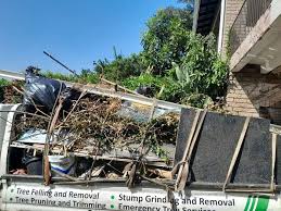 Professional Junk Removal Services in South Beloit, IL