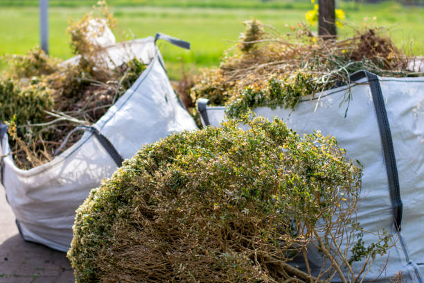  South Beloit, IL Junk Removal Services Pros